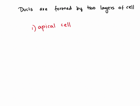 can-be-multiple-answers-some-ducts-are-formed-by-two-layers-of-cells-i-cne-ouct-the-apical-cell-closest-to-the-lumenadlurminal-are-cube-likeand-the-basal-cells-be-to-state-nther-fro-lumenabl-91784