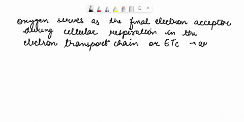 what-is-the-role-of-o2-in-cellular-respiration-57293