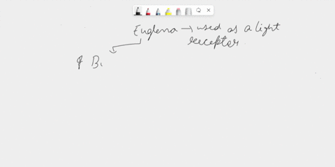 40-the-2nd-flagella-serve-no-apparent-function-in-the-activities-of-the-cell-but-it-does-tell-us-something-about-euglenas-ancestry-what-is-the-reason-for-the-2nd-flagella-short-essays-1-conj-24008