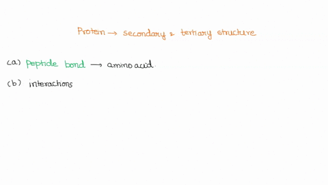 protein-folding-into-its-secondary-and-tertiary-structure-q1-a-what-type-of-bonds-or-interactions-make-up-primary-structure-of-a-polypeptide-__________________-b-the-interactions-along-the-b-45037