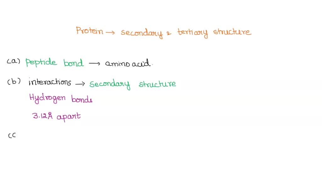 solved-question-1-2-pts-what-is-the-difference-between-secondary-and