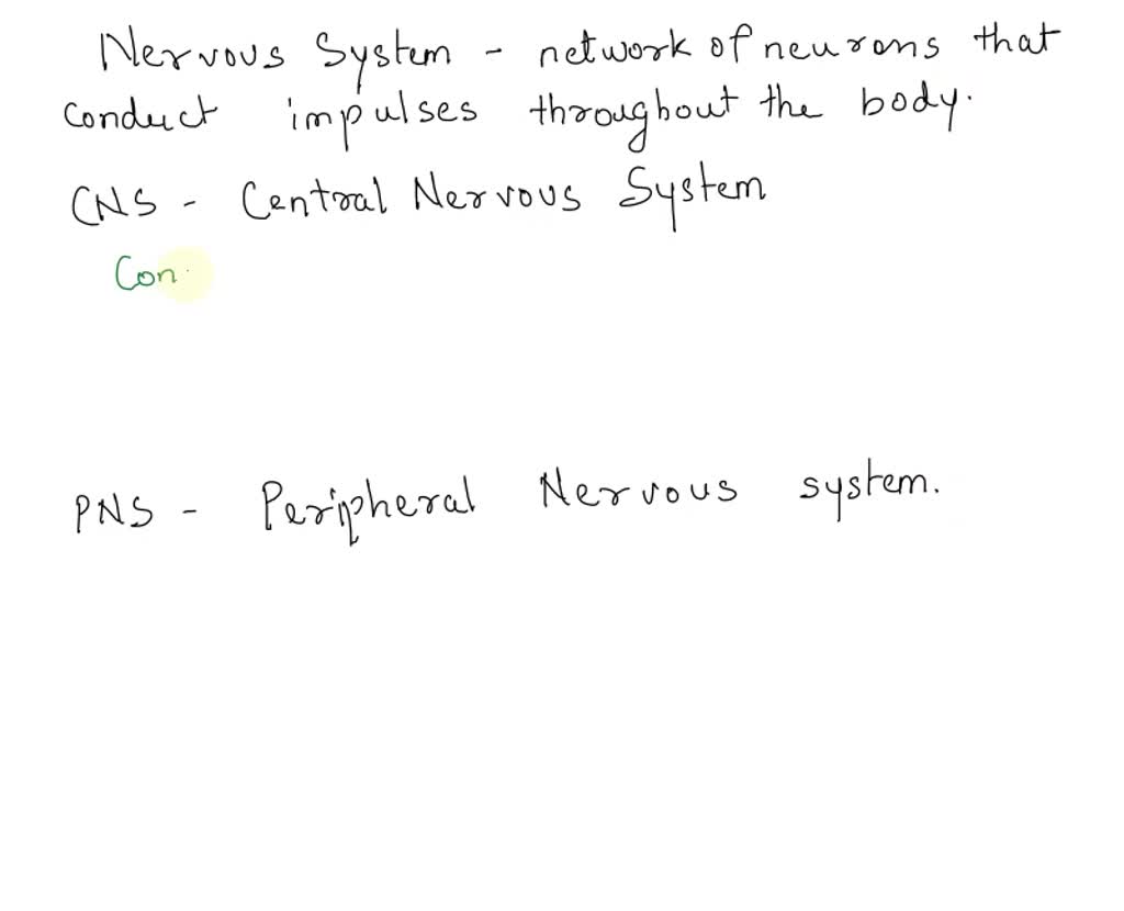 solved-write-a-summary-essay-about-the-difference-between-the-central