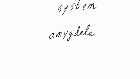 10-multiple-choice-1-point-simply-put-etoh-alcohol-is-described-as-a-central-nervous-system-stimulant-central-nervous-system-depressant-peripheral-nervous-system-stimulant-peripheral-nervous-system-de