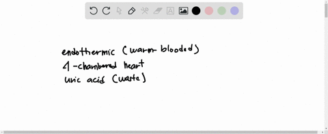 you-find-an-endothermic-animal-with-a-four-chambered-heart-that-produces-uric-acid-as-a-waste-product-you-might-reasonably-expect-this-animal-a-brathes-using-gills-b-has-the-ability-to-fly-c-96824
