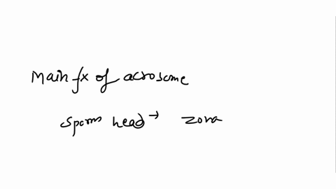 the-main-function-of-the-acrosome-reaction-is-to-a-activate-the-egg-b-improve-sperm-motility-c-pre-4-38608