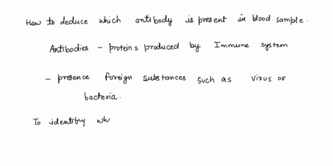 1-describe-how-you-deduced-which-antibody-is-present-in-a-blood-sample-2-if-an-emergency-transfusion-was-required-and-an-exact-match-was-not-available-which-combinations-of-recipient-and-don-13302
