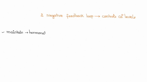 identify-the-two-negative-feedback-loops-that-control-calcium-levels-in-the-blood-ensure-that-you-can-identify-the-receptor-control-center-and-effector-for-each-feedback-loop-we-are-aware-th-47963