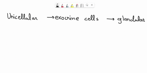 which-of-the-following-would-be-of-most-importance-to-unicellular-exocrine-cells-and-other-glandular-epithelium-cells-secreting-proteins-by-exocytosis-a-lysosomes-b-gap-junctions-c-nuclear-e-7137