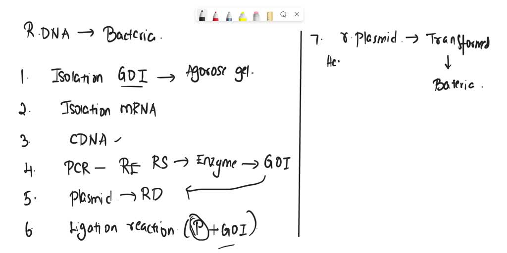 SOLVED You receive purified mRNA that codes for the spike protein of