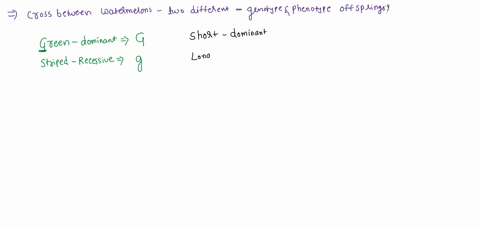 in-watermelons-the-alleles-for-green-color-g-and-for-short-shape-s-are-dominant-over-the-alleles-for-striped-color-g-and-long-shape-s-suppose-a-plant-with-a-long-striped-fruit-is-crossed-wit-53489
