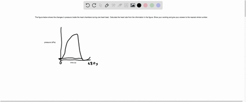 the-figure-below-shows-the-changes-in-pressure-inside-the-heart-chambers-during-one-heart-beat-12-pressure-kpa-time-s-aorta-left-ventricle-left-atrium-calculate-the-heart-rate-from-the-infor-26095