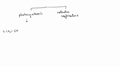 why-did-the-evolution-of-multicellular-organisms-such-as-plants-and-animals-have-to-be-preceded-by-t-96466