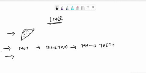 which-of-the-following-are-functions-of-the-liver-a-provides-mechanical-digestion-b-produces-digestive-enzymes-c-produces-a-fat-dissolving-substance-d-filters-toxins-from-blood-e-produces-fa-89407