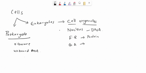 which-of-the-following-not-correctly-matches-component-with-its-function-select-one-a-chloroplast-photosynthesis-b-lysosomes_-motility-mitochondria-energy-production-d-ribosome-protein-synth-47236