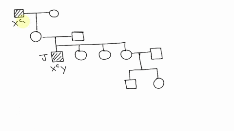 joe-is-color-blind-both-his-mother-and-his-father-have-normal-vision-but-his-mothers-father-joes-m-2-63447