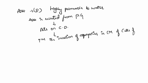 1-which-of-the-following-statements-about-antidiuretic-hormone-adh-is-true-when-adh-is-present-large-amounts-of-dilute-urine-are-excreted-when-adh-is-absent-the-collecting-duct-is-highly-per-50058