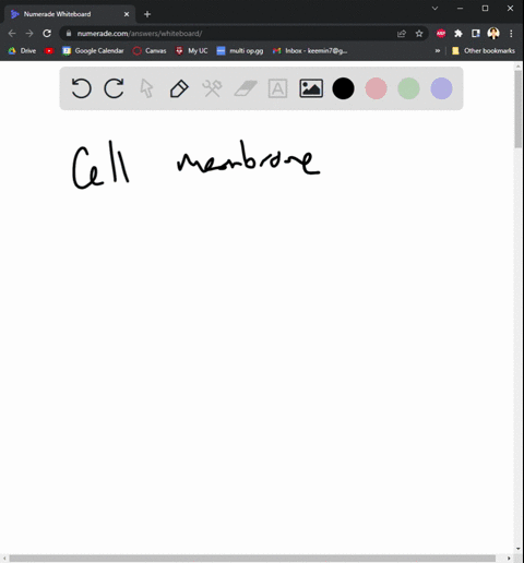 question-6-2-pts-which-characteristic-is-not-common-to-both-prokaryotic-cells-and-eukaryotic-cells-cell-mcmbranc-mitochondria-cytoplasm-gcnctic-material-71021