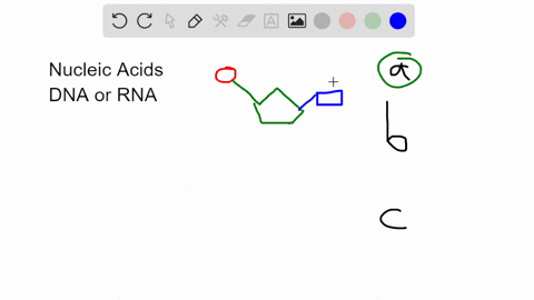 what-is-the-defining-feature-of-nucleic-acids-they-contain-one-or-more-nitrogenous-bases-pentose-sugars-and-phosphates-bfor-every-carbon-atom-they-have-two-hydrogen-atoms-and-one-oxygen-atom-48239