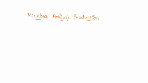 which-one-of-the-following-statements-about-monoclonal-antibody-production-is-false-a-booster-shots-are-administered-in-order-to-increase-the-affinity-of-antigen-specific-antibody-b-hybridom-63629