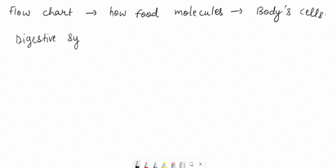 food-relates-to-cellular-respiration-to-review-cellular-respirationwatch-this-bioflix-animationcellular-respiration-food-fuels-cellular-respiration-s-onto-the-flowchart-to-indicate-how-food-29069