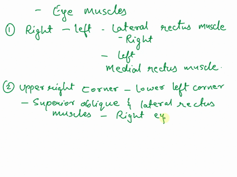 procedure-4_testing_the-extrinsic-eye-muscles-in-this-procedure-you-will-determine-which-extrinsic-each-direction-ryc-muscles-il-nepuneinle-moving-eyeballs-trace-line-the-air-about-foot-fron-53772