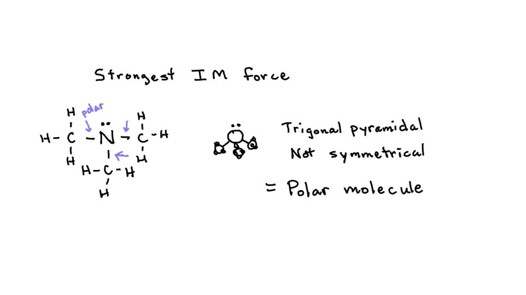 SOLVED: 3) The predominant intermolecular force between molecules of ...