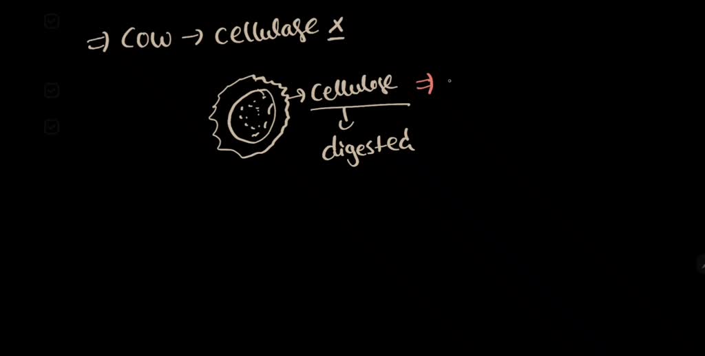 SOLVED 'Cooperative Behavior 12. Cows do not make the enzymes