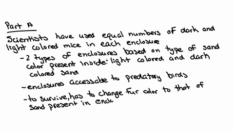 in-mice-fur-color-is-a-genetically-determined-trait-to-observe-the-effects-of-natural-selection-on-fur-color-in-mice-scientists-set-up-six-enclosures-with-either-light-or-dark-colored-sand-o-43892