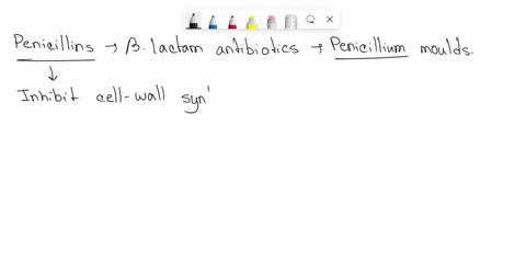 who-is-credited-with-discovering-penicillin-charles-darwin-sir-alexander-fleming-jean-baptiste-to-diener-50739