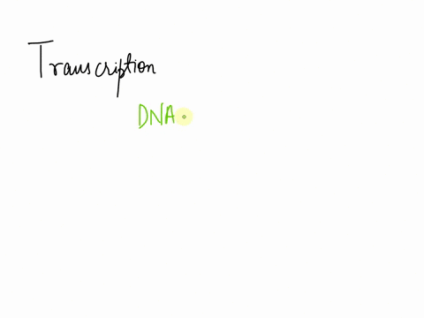 what-type-of-rna-copies-the-sequence-of-dna-bases-in-complimentary-form-transfer-rna-ribosomal-rna-cytoplasmic-rna-messenger-rna-nuclear-rna-50309