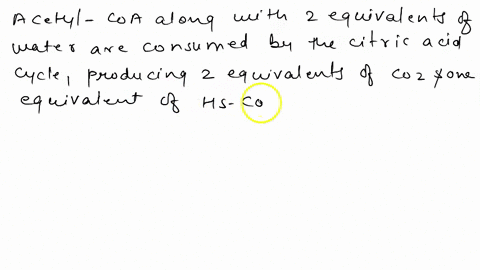 explain-the-efficiency-of-using-the-citric-acid-cycle-to-oxidize-acetyl-coa-84831