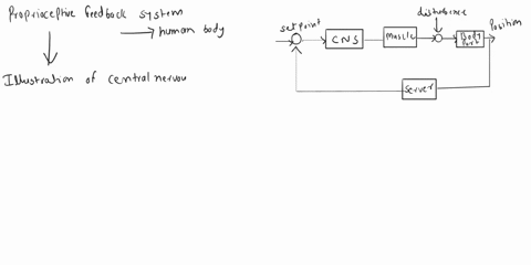 1-please-describe-the-proprioceptive-feedback-control-of-human-movements-pt-15-after-doing-so-please-elaborate-on-the-following-points-a-create-a-block-diagram-that-describes-the-feedback-lo-81786