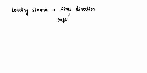 explain-the-difference-between-the-leading-and-lagging-strands-of-dna-replication-37818