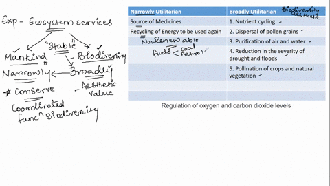 conservation-biologists-provide-strong-arguments-about-why-we-should-all-care-about-preserving-biodiversity-when-considering-the-resources-we-get-from-nature-as-well-as-the-services-the-ecos-65434