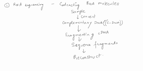 rna-sequencing-is-a-next-generation-sequencing-technique-that-can-be-use-to-examine-the-quantity-of-rna-thus-allowing-researchers-to-see-expressed-genes-and-differently-expressed-genes-1-bri-13638