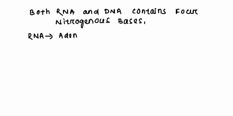 truefalse-rna-contains-uracil-instead-of-thymine-a-true-b-false-24608