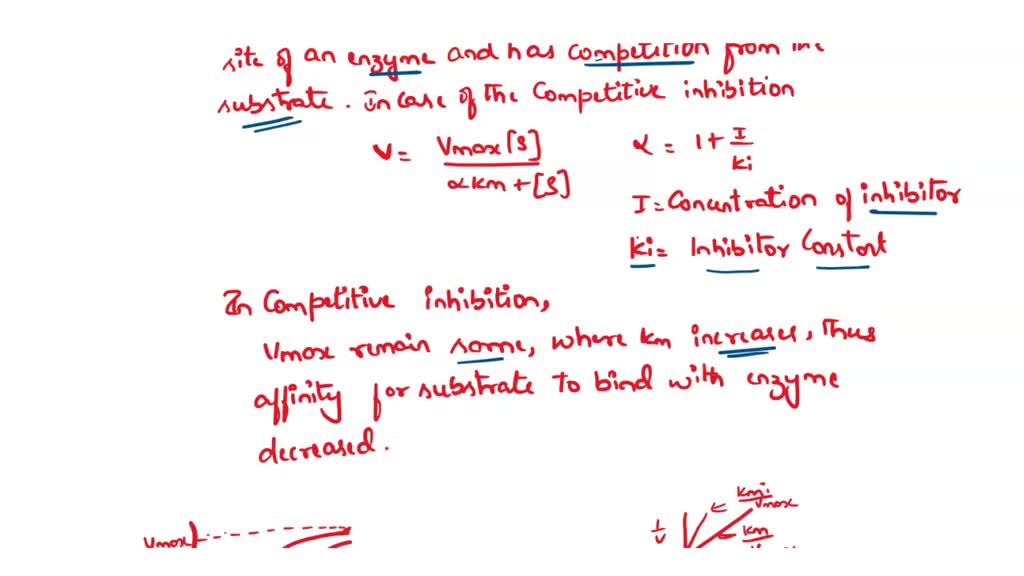 SOLVED In the lab, we studied the of the enzyme acid