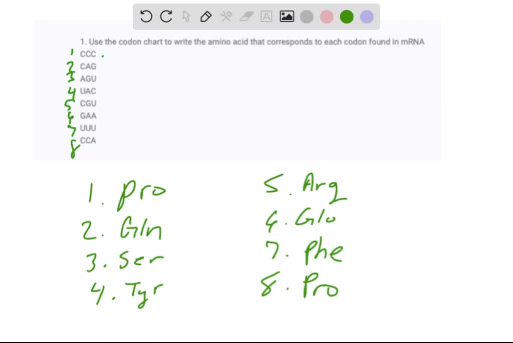 SOLVED: Use The Codon Chart To Write The Amino Acid That Corresponds To ...