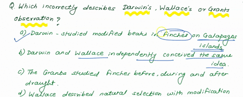 question-44-1-pts-which-incorrectly-describes-darwins-wallaces-or-the-grants-observations-darwin-studied-modified-beaks-in-finches-on-galapagos-islands-darwin-and-wallace-independently-conce-74295