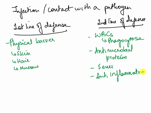 identify-early-defenses-of-the-body-and-list-several-mechanisms-of-innate-defense-give-a-brief-description-of-each-05449