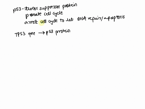 15-true-or-false-when-ps3-levels-rise-ps3-induces-the-transcription-of-genes-that-control-the-cell-cycle-repair-dna-and-trigger-apoptosis-58394