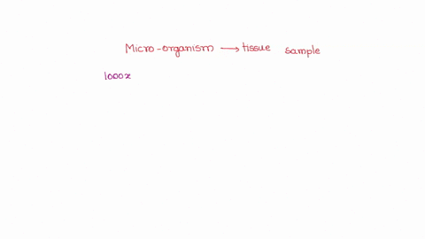 assume-you-are-looking-for-microorganisms-in-a-tissue-sample-from-a-lung-biopsy-the-microbes-become-apparent-when-you-switch-to-1000x-what-type-of-microbe-is-most-likely-95312