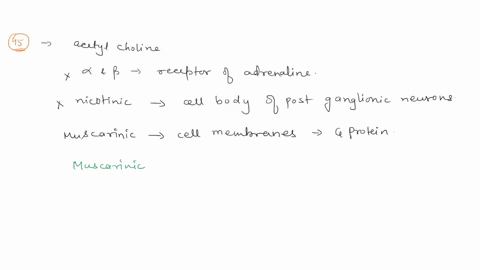 question-45-1-point-what-receptor-is-found-on-the-target-tissues-contacted-by-the-postsynaptic-neuron-of-the-parasympathetic-branch-of-the-autonomic-nervous-system-nicotinic-alpha-muscarinic-99997