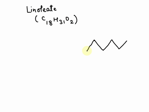 draw-the-unsaturated-fatty-acid-linoleate-50716