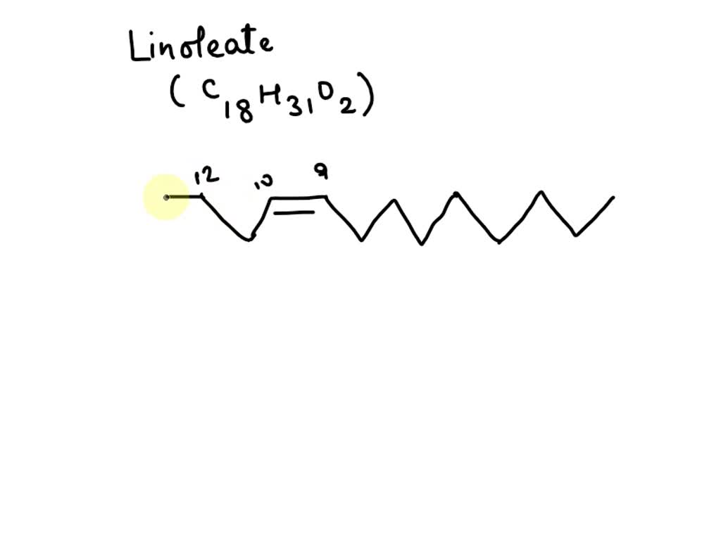 SOLVED Draw the unsaturated fatty acid linoleate