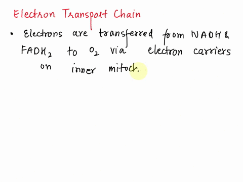 which-one-of-the-following-statements-about-the-electron-transport-chain-is-false-the-etc-creates-proton-gradient-b-the-etc-pumps-protons-into-the-intermembrane-space-the-etc-produces-atp-th-97573