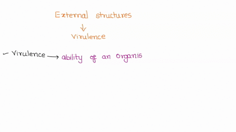 prokaryotic-cell-structure-structure-function-present-in-all-bacteria-present-in-eukaryotes-increase-virulence-cell-membrane-cell-wall-capsule-endospore-fimbriae-and-pili-flagellum-glycocaly-03827