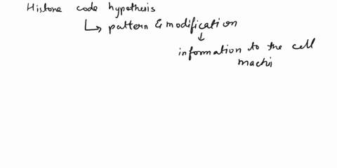 which-of-the-following-is-a-prediction-of-the-histone-code-hypothesis-histone-deacetylases-add-acetyl-marks-to-histone-tails-each-histone-tail-can-be-modified-only-once-histone-methyltransfe-74267