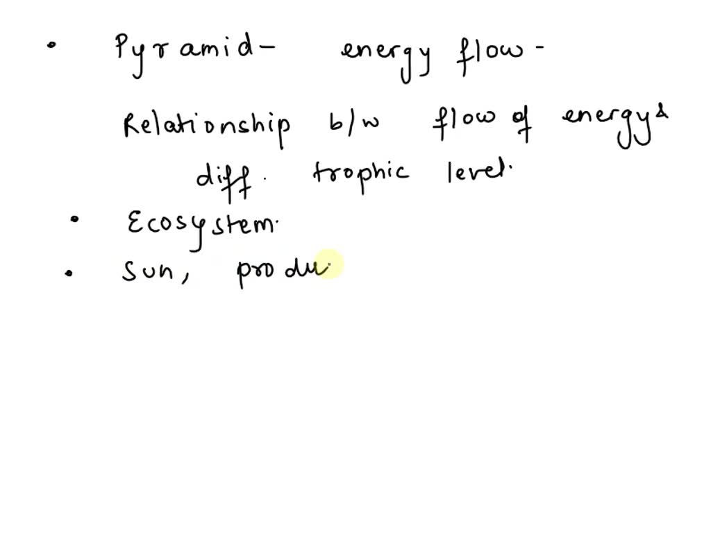 solved-why-is-the-energy-pyramid-not-a-smooth-geometric-shape-like-a