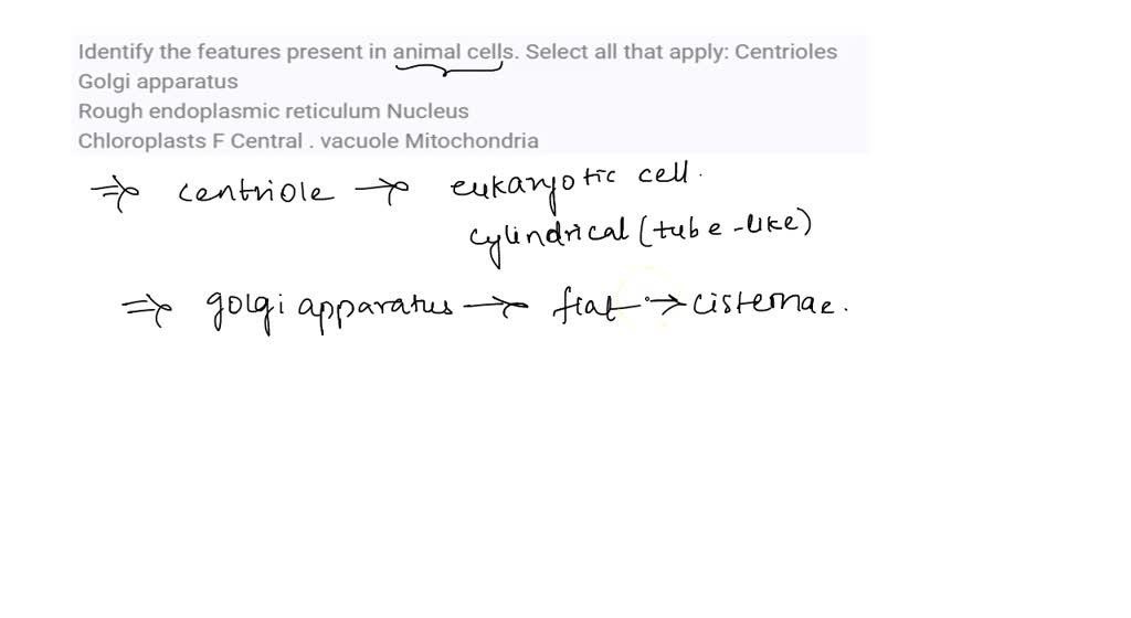 mitochondria animal cell black and white